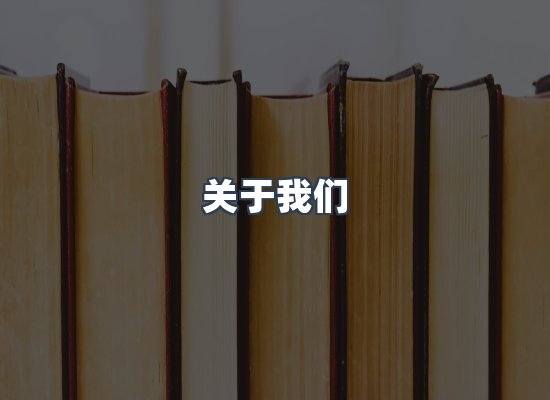 关于我们